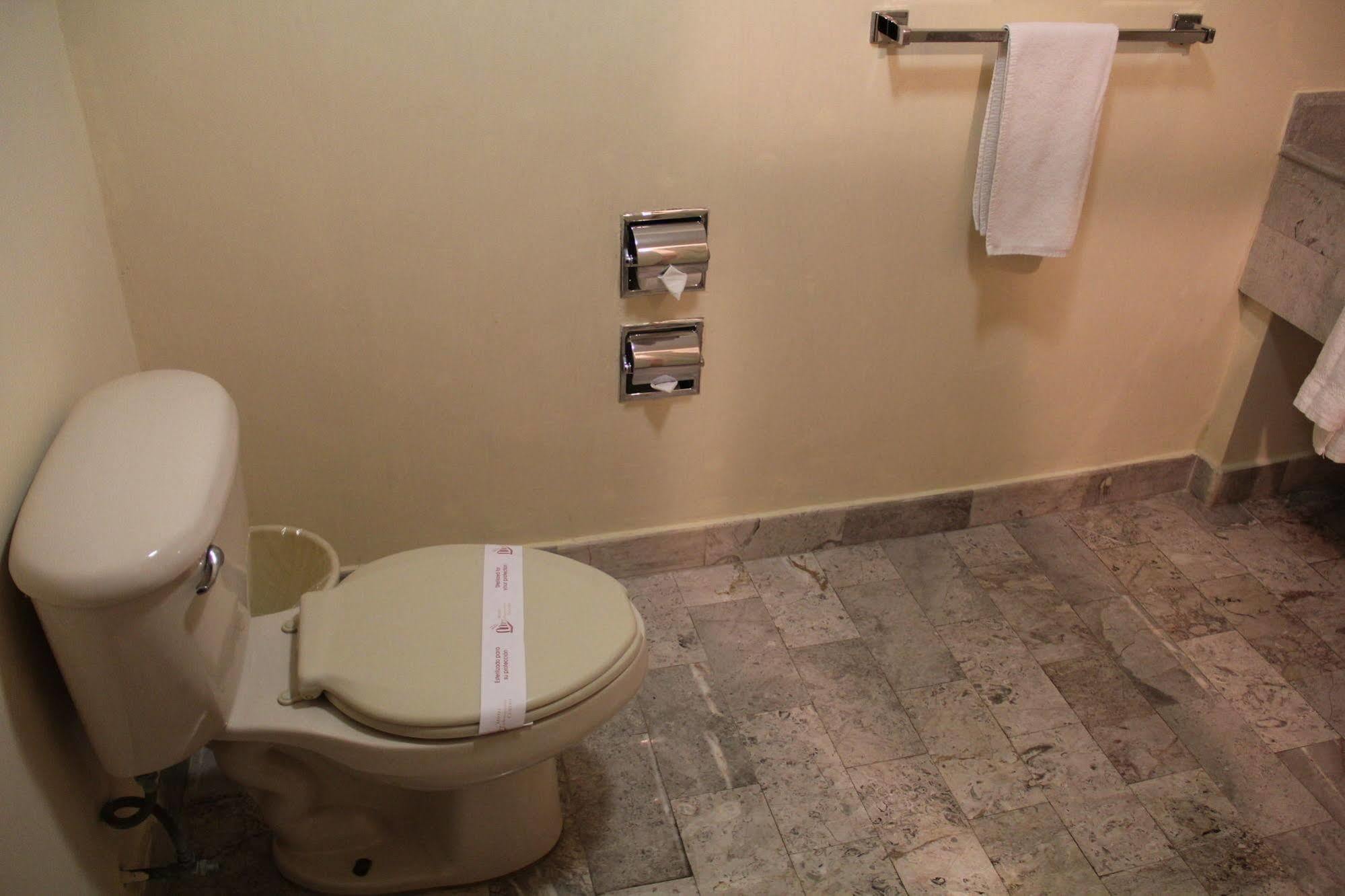 Hotel Tehuacan Plaza Dış mekan fotoğraf